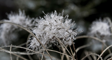 Marzec 2026 w Hotelu Liptakówka***